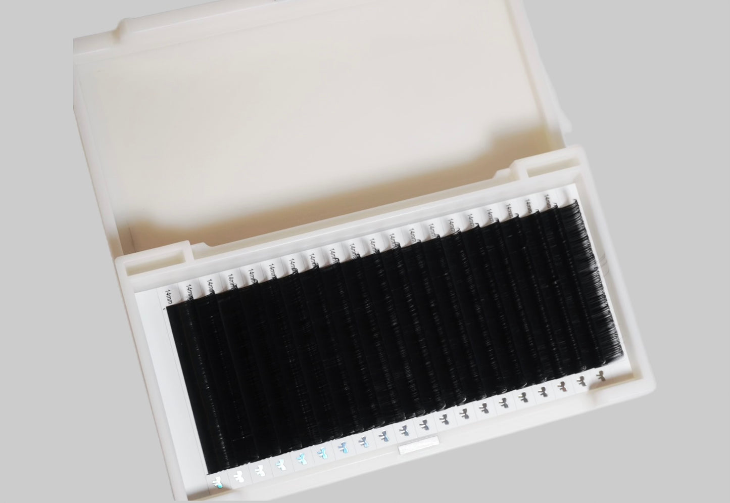 Single Length Lash Trays